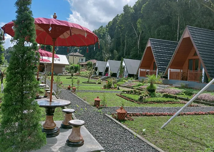 Popitan Garden & Glamping Parque de Campismo *